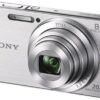 Sony DSCW830 20.1 MP Digital Camera With 2.7 Inch LCD