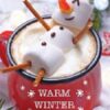 Cocoa Snowman Holiday Card Pack Set Of 25 Winter Wishes Cards
