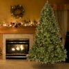 National Tree Company 'Feel Real' Pre-lit Artificial Christmas Tree